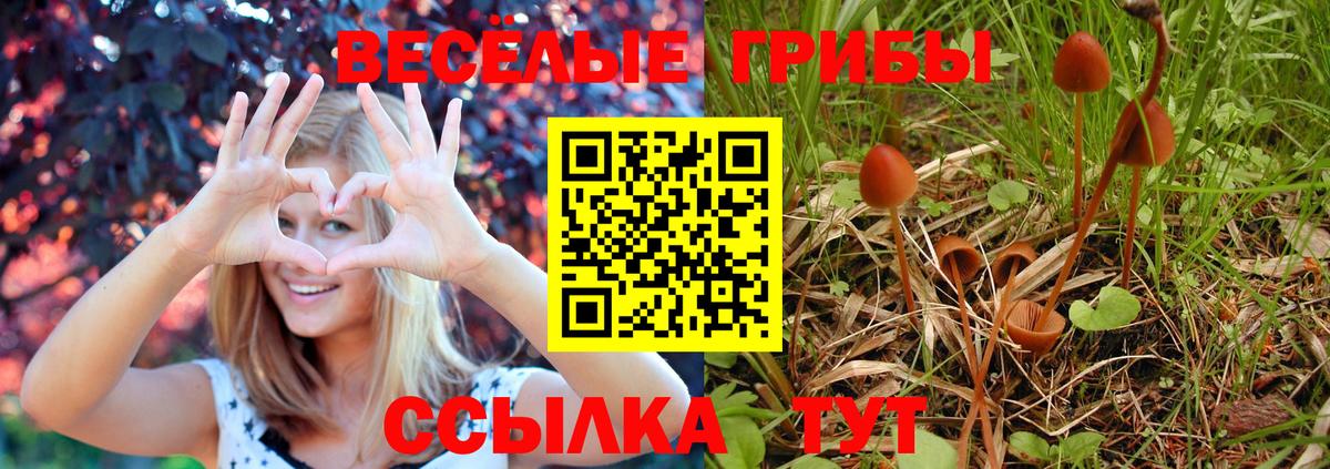 Галлюциногенные грибы мухоморы  Вход с VPN  Ярцево 